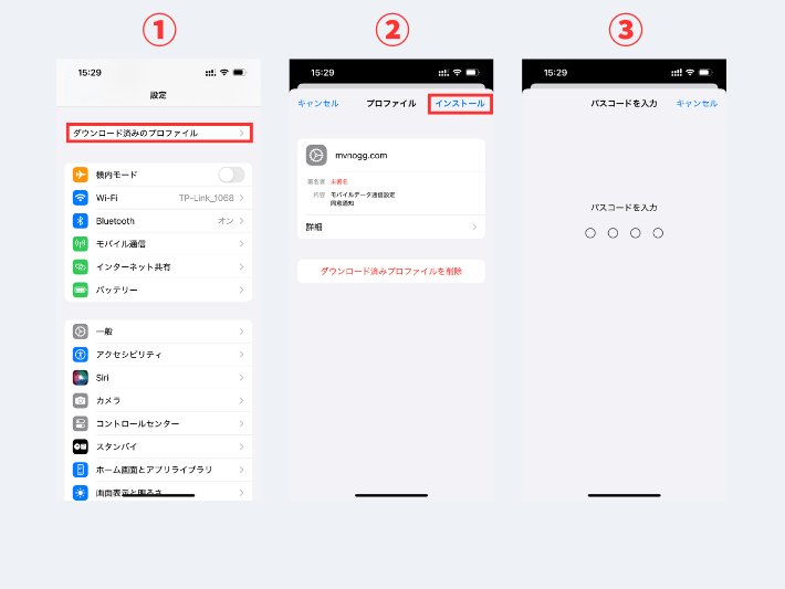 設定アプリからインストール