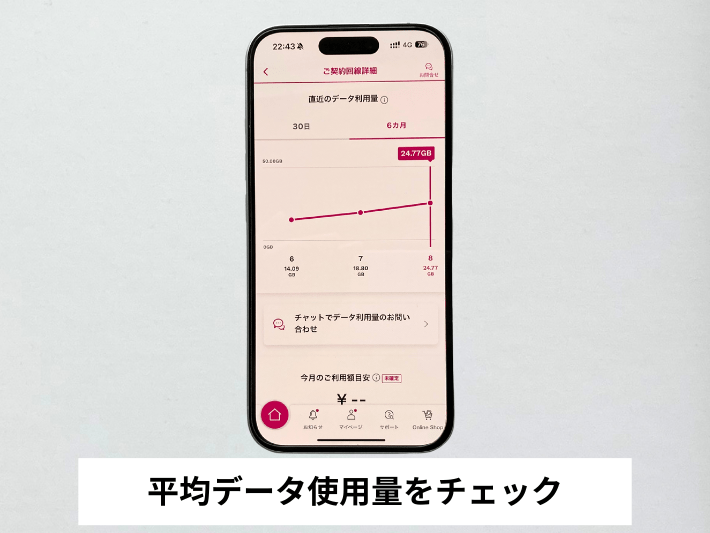 データ使用量を把握する