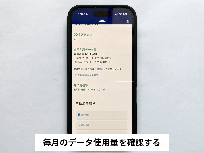 毎月のデータ使用量を確認する