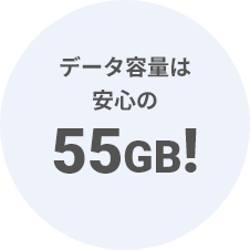 データ容量は安心の55GB!