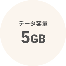 データ容量5GB!