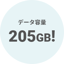 データ容量205GB!