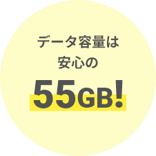 データ容量は安心の55GB！