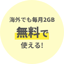 海外でも毎月2GB無料で使える!