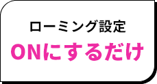 ローミング設定ONにするだけ